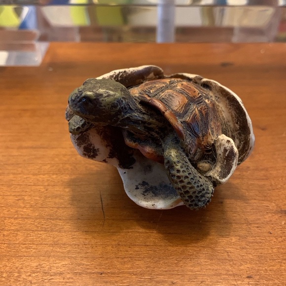 Vintage-EUC. Sea Turtle Hatching 1989 Castagna. Made in Italy - Picture 6 of 9